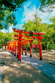 【兵庫】湊川神社 兵庫,神戸,湊川神社の写真素材