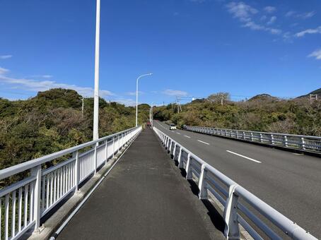 伊豆大島の道路風景 大島,伊豆,伊豆大島の写真素材