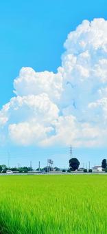 夏空(iPhone size) 夏空(iPhone size)の写真