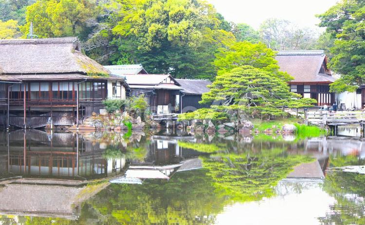 彦根城　玄宮園 日本庭園,玄宮園,彦根の写真素材