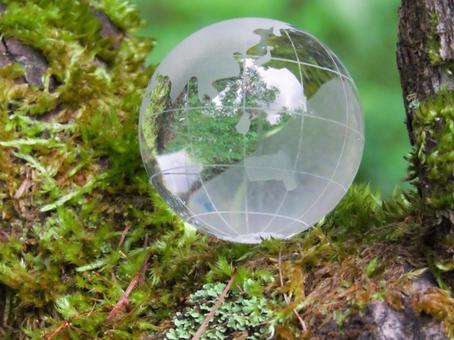 エコイメージ-ガラスの地球儀と朽ちた幹2 エコイメージ-ガラスの地球儀と朽ちた幹2の写真