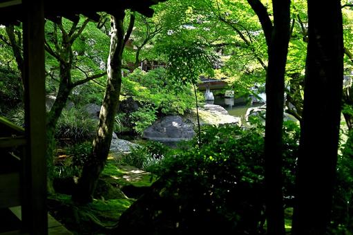 奥深い日本庭園の中での写真