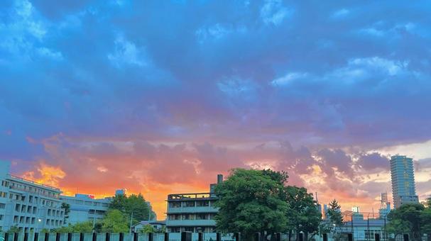 夕焼け 夕焼けの写真