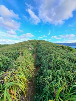 奄美大島　宮古崎 奄美大島,奄美,宮古崎の写真素材