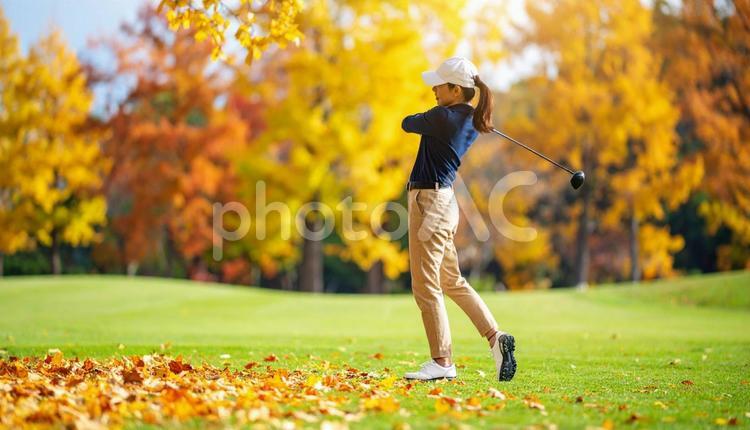 秋の紅葉の中で行われるゴルフコンペ ゴルフ,ゴルフ場,男性の写真素材