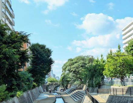 京都の街のオアシス、東堀川 京都の街のオアシス、東堀川の写真