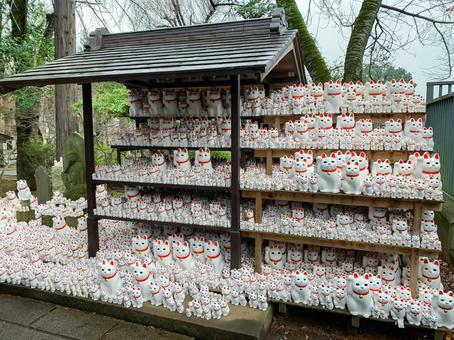 猫好き 豪徳寺招き猫,世田谷区,伝説の写真素材