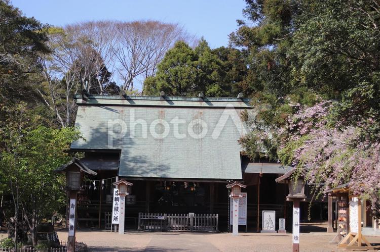 鎌数伊勢大神宮 鎌数伊勢大神宮,神社,鳥居の写真素材