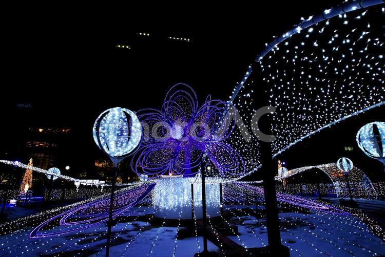さっぽろホワイトイルミネーションの輝き 札幌ホワイトイルミネーション,ホワイトイルミネーション,光の写真素材