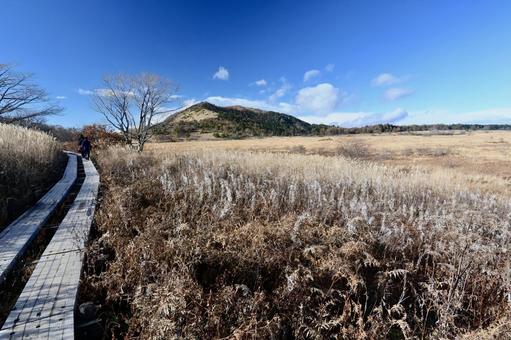 八島湿原 高原,草原,湿原の写真素材