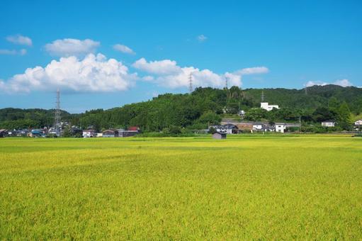 田園風景 田園風景 田園,田んぼ,田の写真素材