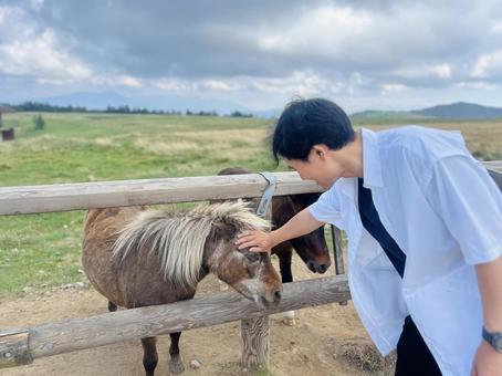 ポニーをなでる男性 ポニーをなでる男性 ポニーと男性,ポニー,馬の写真素材