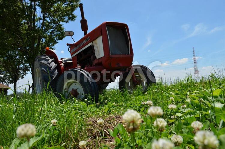 トラクターとシロツメクサ フィールド,草,夏の写真素材