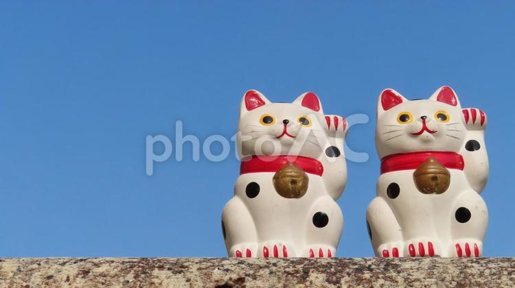 招き猫　WEB素材 招き猫,縁起物,置物の写真素材