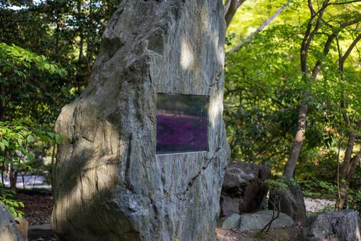 深緑に佇む石碑 自然,風景,森の写真素材