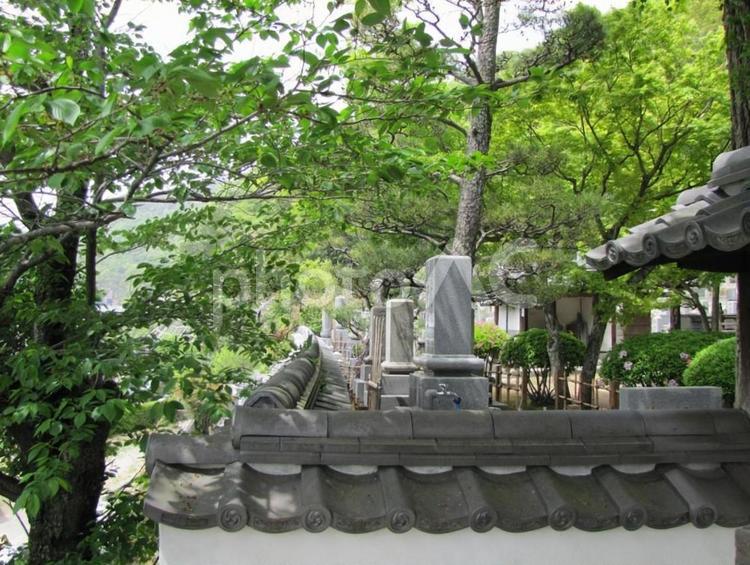 【風景写真】観音寺(広島県三原市)の風景 観音寺,時宗,寺社仏閣の写真素材