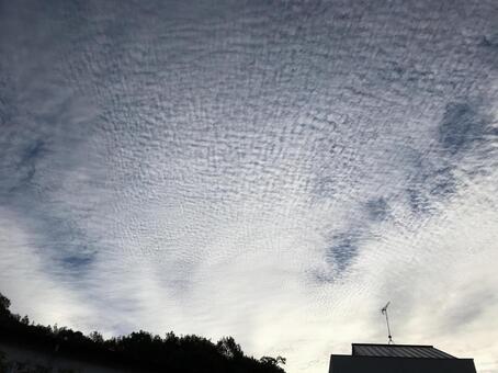 うろこ雲の写真