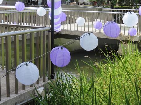 夏の提灯 夏の提灯の写真