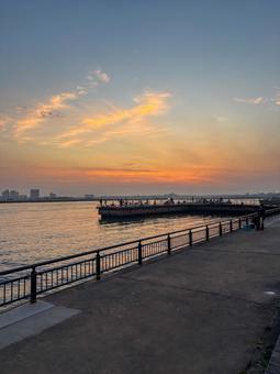 浜名湖 海釣り公園 浜名湖 海釣り公園の写真