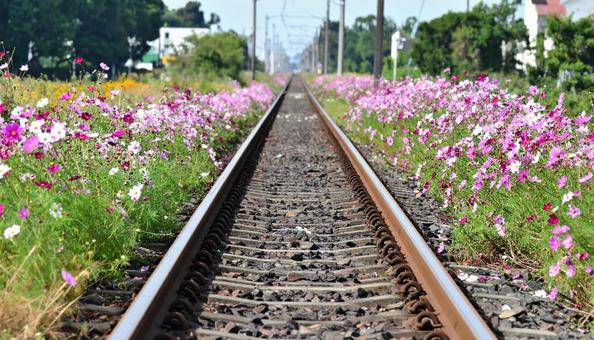 コスモス鉄道 コスモス鉄道の写真