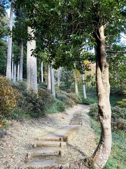 山中を通る階段 山中を通る階段 空,階段,山中の写真素材