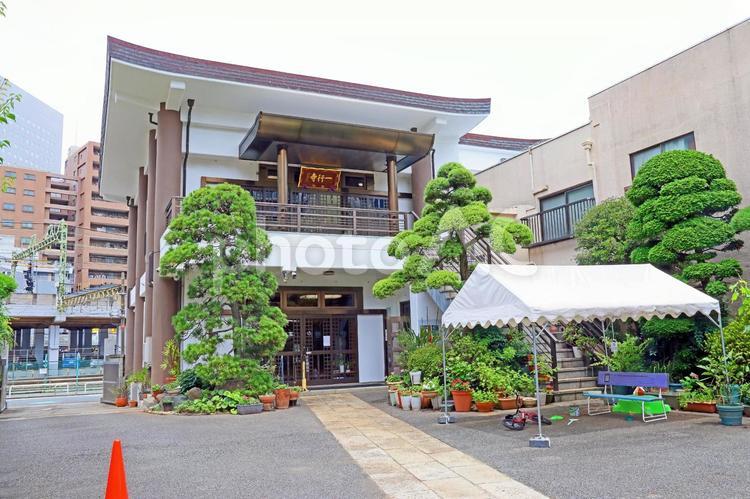 一行寺（川崎） 一行寺,浄土宗,顕誉円超上人の写真素材