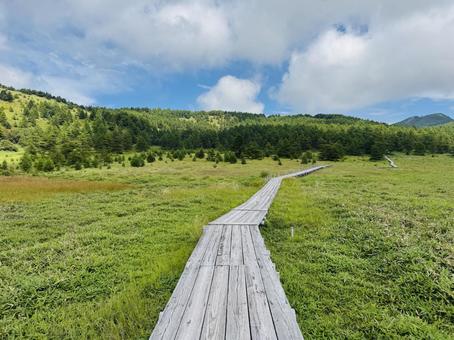 秋の池の平湿原 自然,風景,山の写真素材