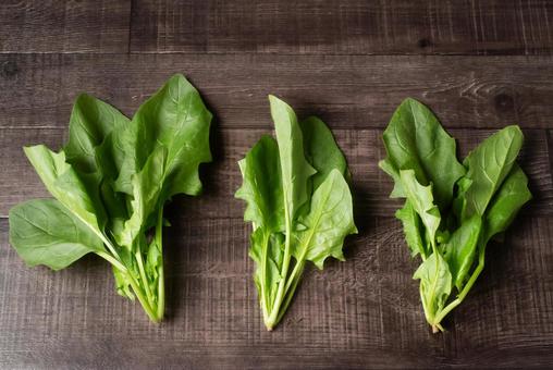 3つ並んだホウレンソウ 3つ並んだホウレンソウ ホウレンソウ,野菜,緑黄色野菜の写真素材