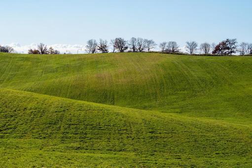 冬を待つ青空と波打つ緑の丘 丘,起伏,稜線の写真素材