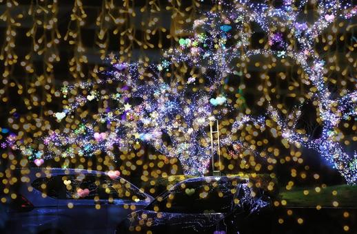 クリスマスイルミネーション・エフェクト イルミネーション,クリスマス,夜景の写真素材