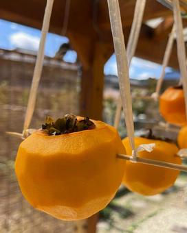 干し柿 干し柿,柿,果物の写真素材