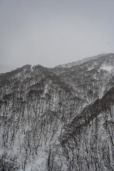 谷川岳ロープウェイから見た景色 谷川岳ロープウェイから見た景色 谷川岳,ロープウェイ,銀世界の写真素材