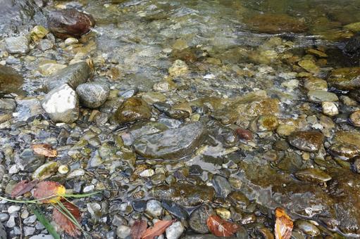 多摩川 多摩川の写真