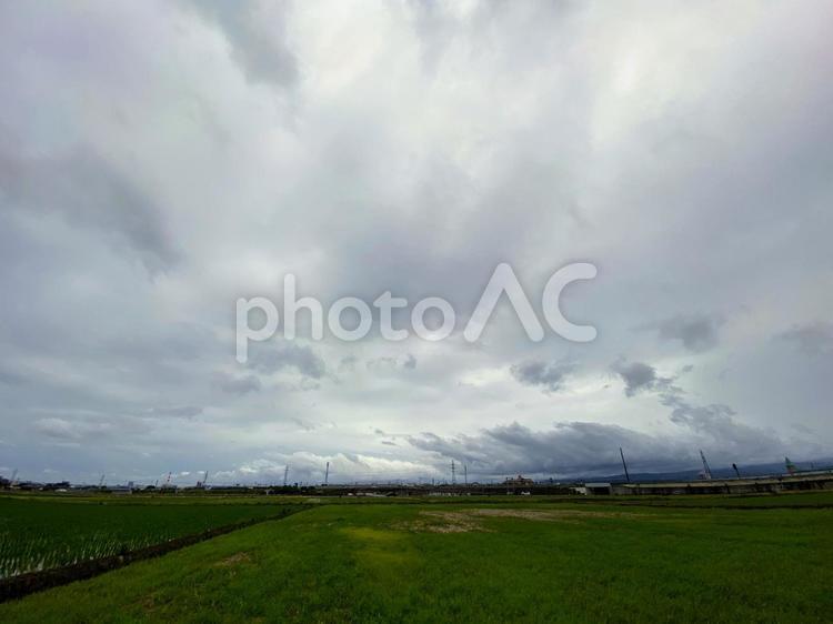 梅雨の前 空,雲,田んぼの写真素材