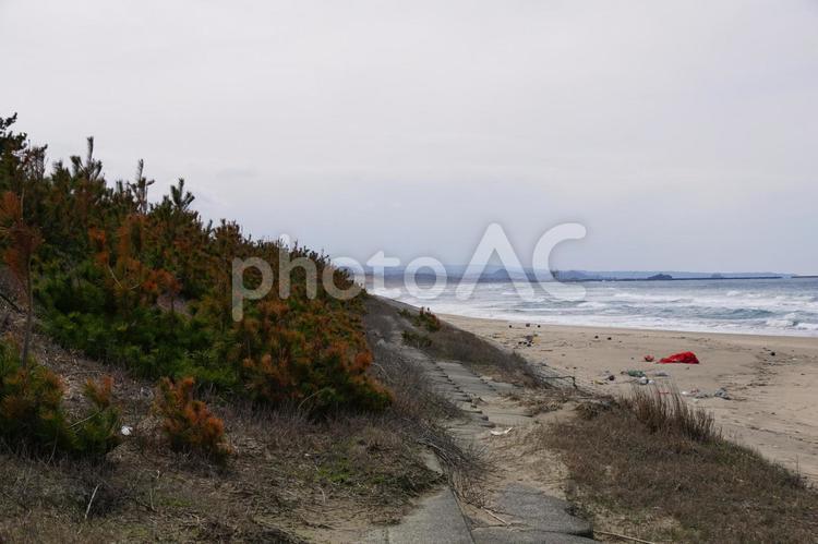海辺の風景 砂丘,鳥取砂丘,観光の写真素材