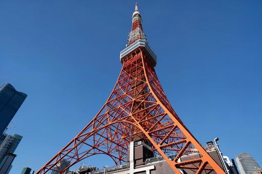 東京タワーを見上げる 東京タワーを見上げるの写真