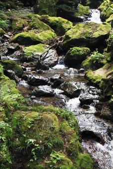 川の上流 川の上流 小川,川,せせらぎの写真素材