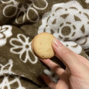 炬燵の上でクッキーサンド クッキー,クリームサンド,お菓子の写真素材