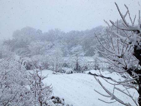 雪景色 雪景色の写真