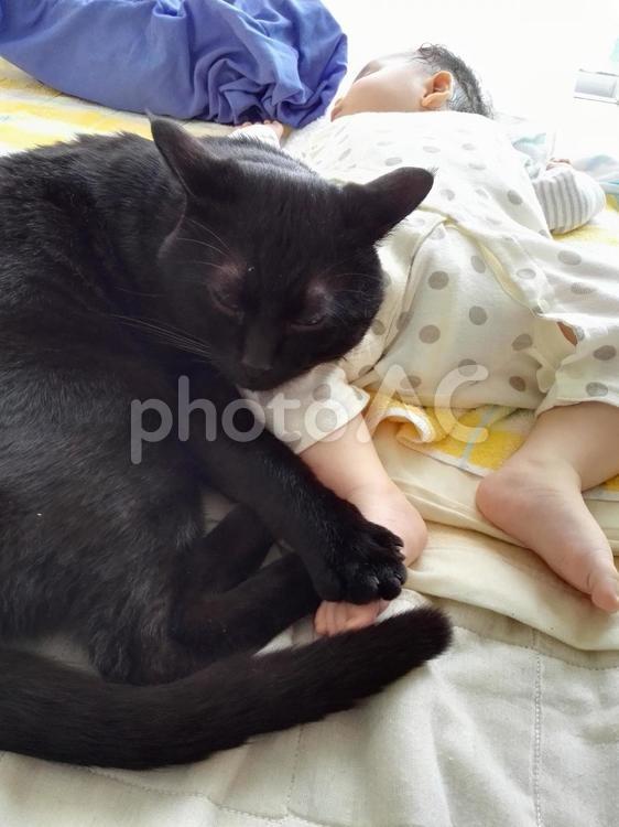 眠る赤ちゃんと猫 睡眠,黒,昼寝の写真素材