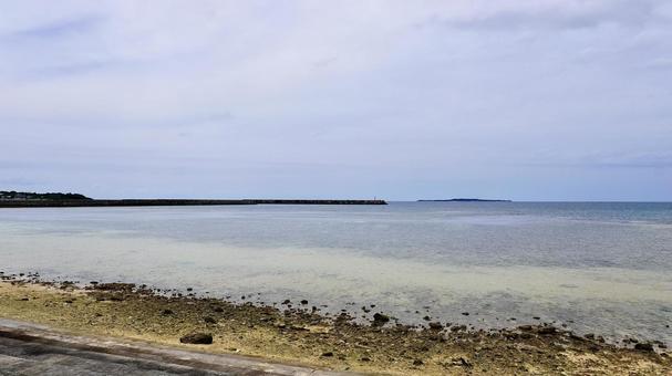 沖縄県八重山諸島西表島の干潮時の海岸 沖縄県八重山諸島西表島の干潮時の海岸の写真