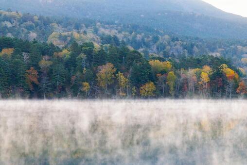 オンネトーの紅葉 オンネトーの紅葉,オンネトー,紅葉の写真素材