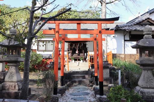 玉津島神社　金高稲荷社 玉津島神社,金高稲荷社,鳥居の写真素材