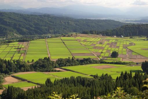 越後新潟 川口の田んぼ 越後新潟 川口の田んぼの写真