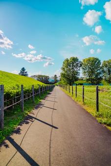 【山形】山形駅の周辺 山形城跡 【山形】山形駅の周辺 山形城跡 山形城跡,山形,城跡の写真素材