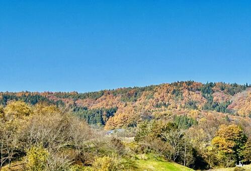山の紅葉 紅葉,山,秋の写真素材