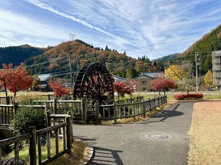 11月　秋の竹田水車メロディーパーク 竹田水車メロディーパーク,自然,水車の写真素材