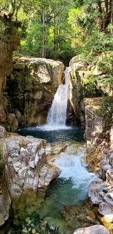 龍神の滝 滝,自然,水の写真素材