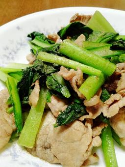 小松菜と豚肉の炒め物3 炒め物,小松菜,豚肉の写真素材