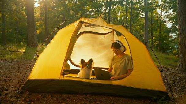 犬とテントのシルエット 女性,外国人,犬の写真素材